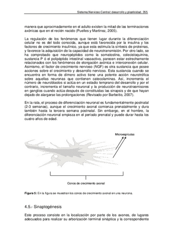 bio2-91.pdf