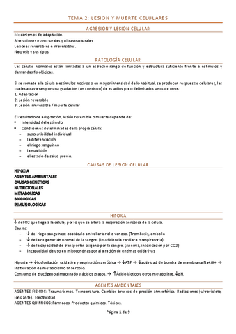 Tema-2.pdf