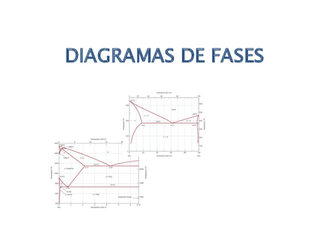 T2B-Diag.Fases.pdf