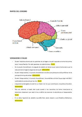 Examen-psicologia.pdf