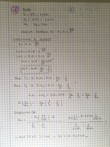 WhatsApp Image 2018-01-23 at 11.49.12.jpeg