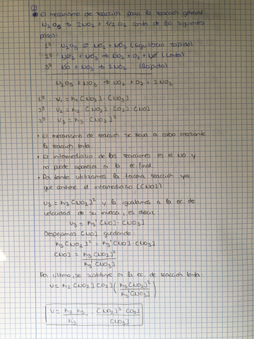 WhatsApp Image 2018-01-23 at 11.49.12 (1).jpeg