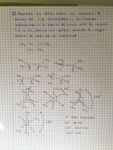 WhatsApp Image 2018-01-23 at 11.49.12 (2).jpeg