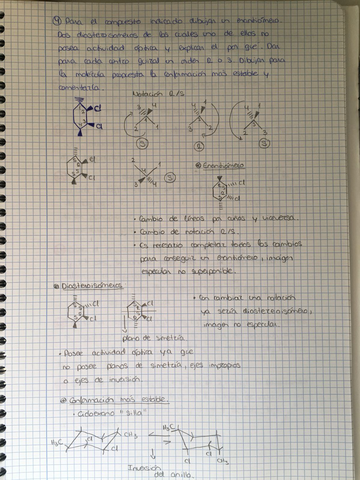 WhatsApp Image 2018-01-23 at 11.49.13.jpeg