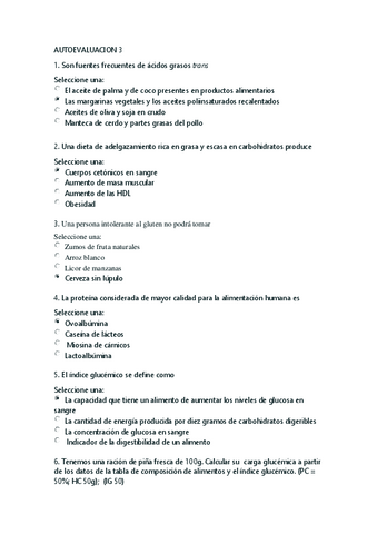 AUTOEVALUACION-3.pdf