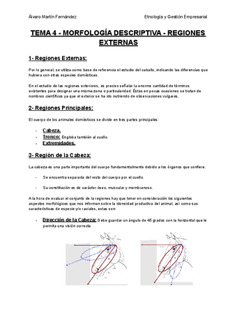 TEMA-4-MORFOLOGIA-DESCRIPTIVA-REGIONES-EXTERNAS.pdf