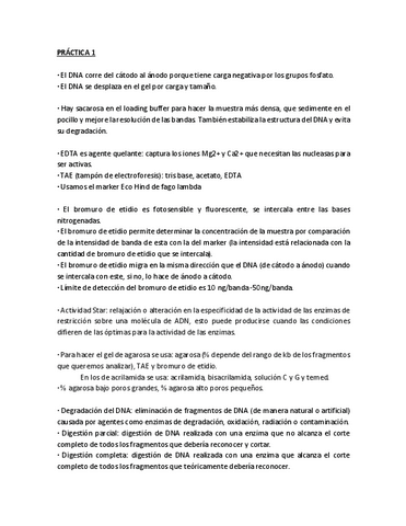 Resumen-Lab4-bloque-1.pdf