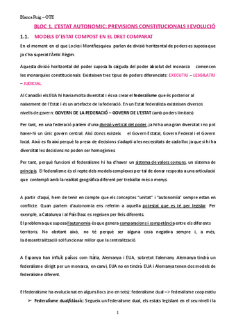 OTE-APUNTES.docx.pdf