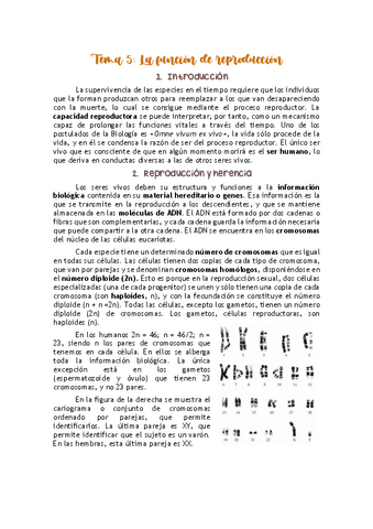TEMA-5-CEII.pdf