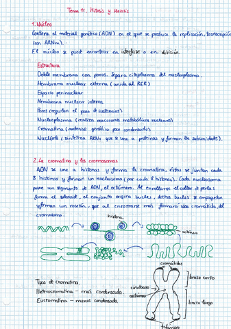 TEMA-11-MITOSIS-Y-MEIOSIS.pdf