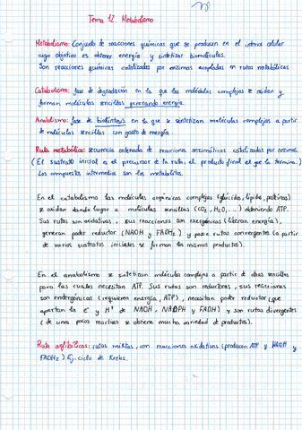 TEMA-12-METABOLISMO.pdf