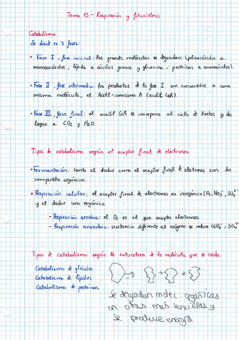 TEMA-13-RESPIRACION-Y-FOTOSINTESIS.pdf