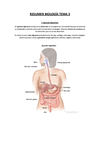 Resumen-Biologia-Tema-3.pdf