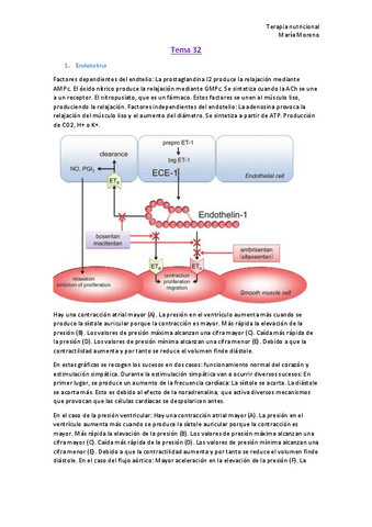 Tema-32.pdf