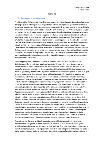 Tema-40.pdf