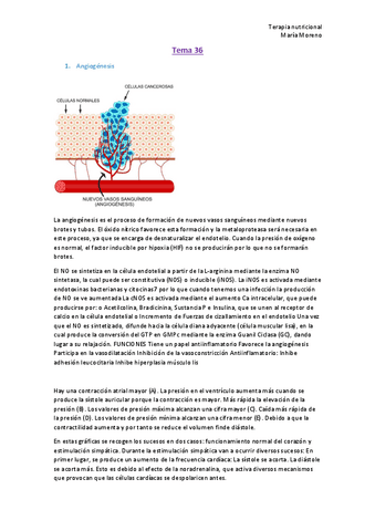 Tema-36.pdf