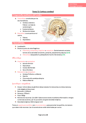 wuolah-free-Tema-51-Corteza-cerebralgulagfree.pdf