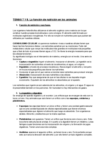 TEMAS-7-Y-8.pdf