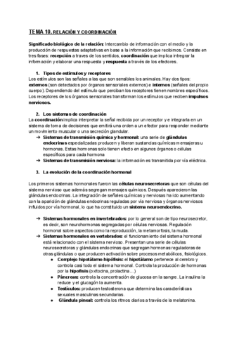 TEMA-10.-RELACION-Y-COORDINACION.pdf