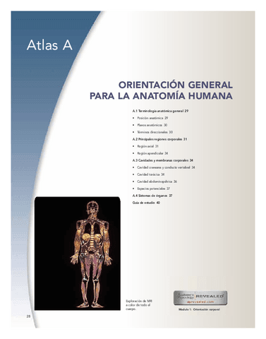 ATLAS-AAnatomia-y-fisiologia.-La-unidad-entre-forma-y-funcionSaladin8b623728a6623fa12ed37bfea0c99fb3.pdf