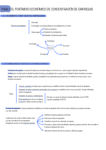 Tema-1-Resumen-Conso.pdf