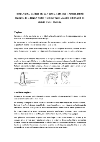 Tema 4 Anatomia Ii Pdf