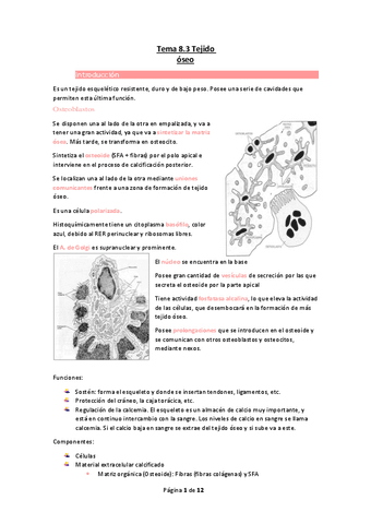Tema-8.pdf