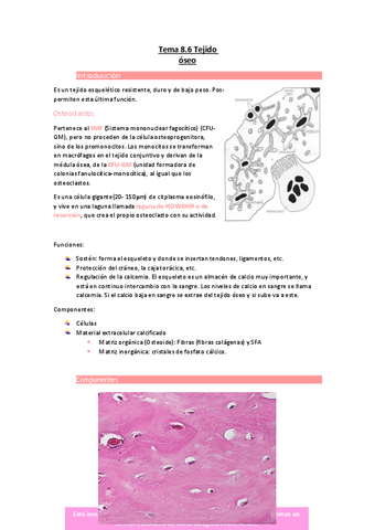 Tema-8.pdf