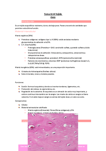 Tema-8.pdf
