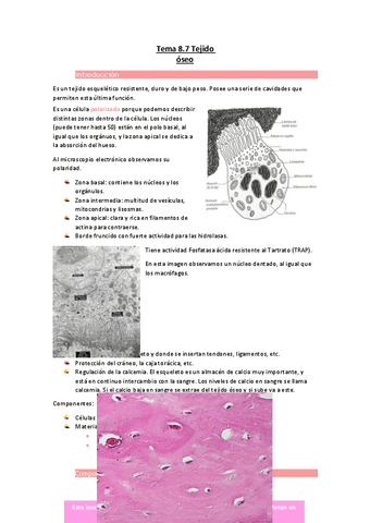 Tema-8.pdf