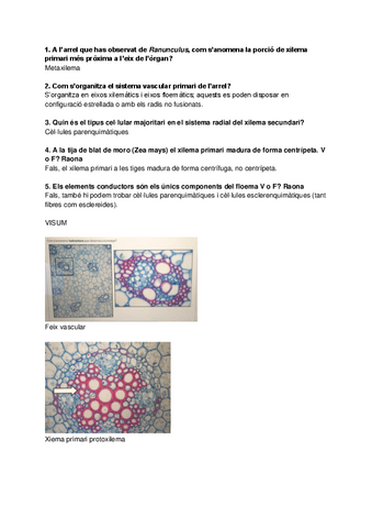 Copia-de-Examen-histologia-4.pdf