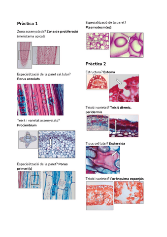 Copia-de-HV.pdf