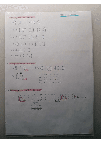 APUNTES-MATRICES.pdf