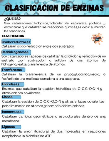 CLASIFICACION-DE-ENZIMAS.pdf