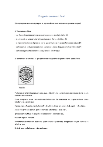 PREGUNTAS-EXAMEN-RESUELTAS.pdf