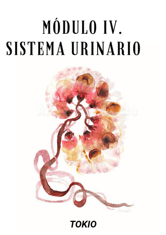 MODULO-IV.-SIST-URINARIO-2o-CUATRI-SILVIA.pdf