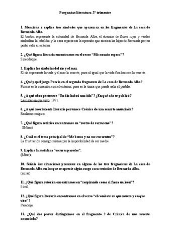 Preguntasliteraturaresolucion.pdf