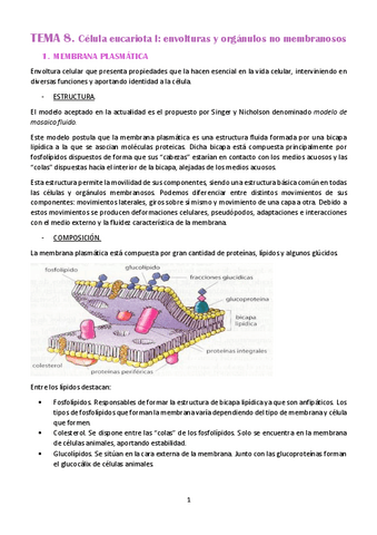 DOC-20230224-WA0021..pdf