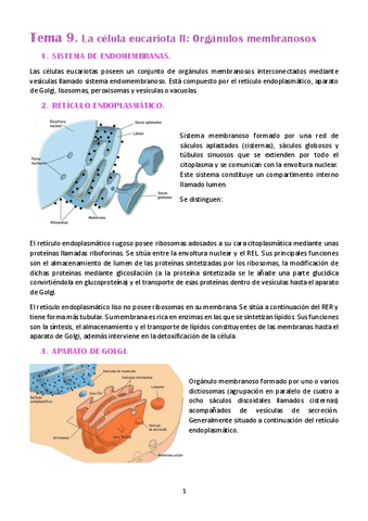 DOC-20230224-WA0022..pdf