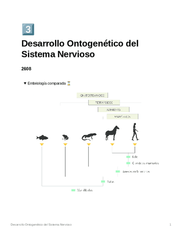 DesarrolloOntogeneticodelSistemaNervioso.pdf