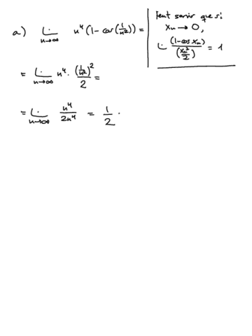 problemes-resolts-5-prova-de-limits.pdf