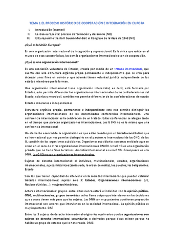 Tema-1-proceso-de-la-UE.docx.pdf