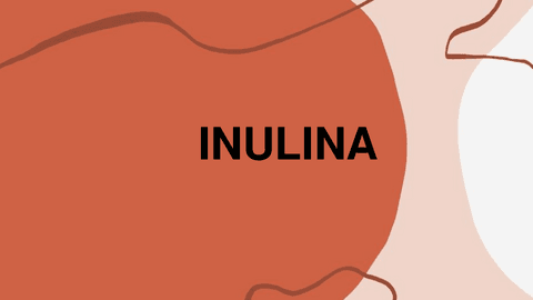 INULINA.pdf