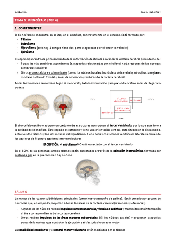 TEMA 5 - Diencéfalo (SEF 4).pdf