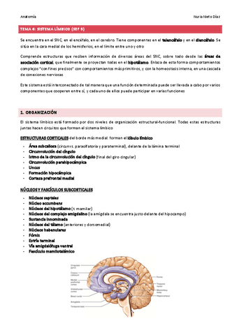 TEMA 6 - Sistema límbico (SEF 5).pdf