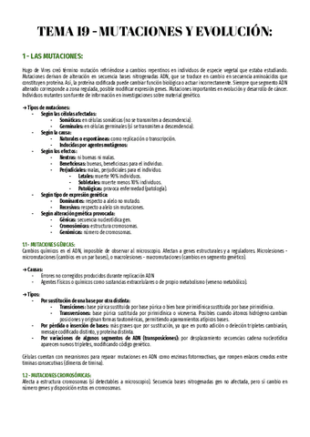 T19-Bio-2o.pdf