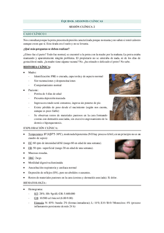 SESIONES-CLINICAS-EQ.-2.pdf