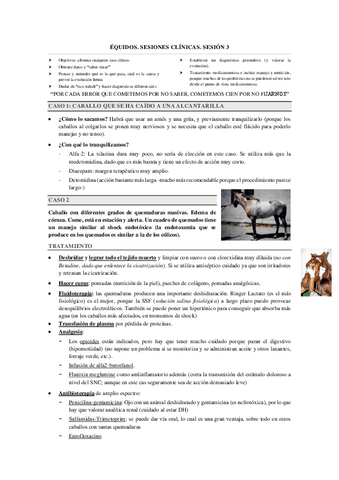 SESIONES-CLINICAS-EQ.-3.pdf