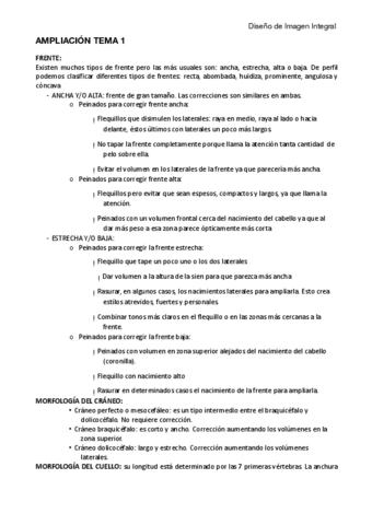 AMPLIACION-T1-DII.pdf