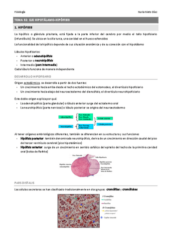 TEMA 32 - Eje hipotalamo-hipofisis.pdf